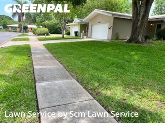 Grass Cutting nearby Dunedin, FL, 