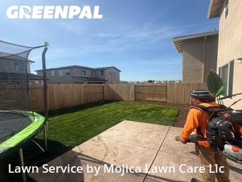 Work completed by yard-maintenance-professionals-in-Elk Grove-CA