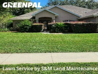 Grass Cut nearby Tavares, FL, 