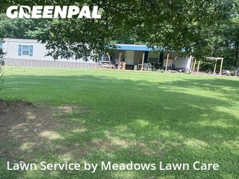 Lawn mowed in Opelika, 36804