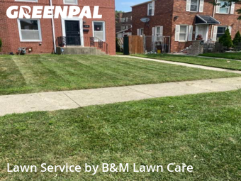 Yard Cutting nearby Calumet City, IL, 