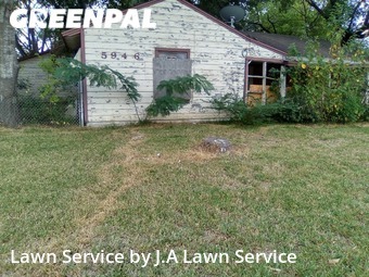 Lawn Care nearby Houston, TX, 