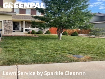 Lawn Maintenancein Thornton,80602,Lawn Mowing Service by Sparkle Cleannn, work completed in Nov , 2025