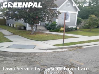 Lawn Cut nearby New Orleans, LA, 