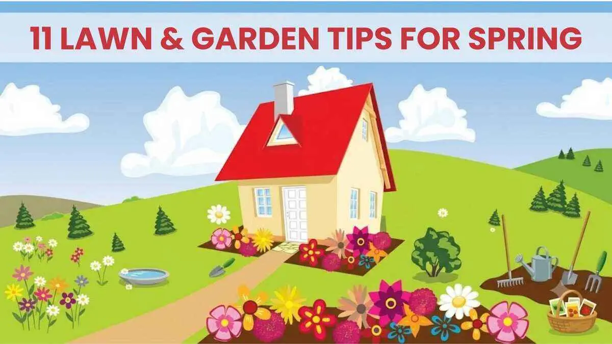 Use these 11 Lawn Care Tips to Make Your Lawn Shine! By Greenpal