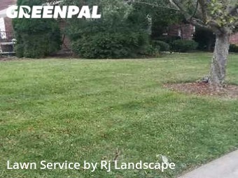 Grass Cut nearby Pittsburgh, PA, 