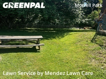 Affordable Landscaping In Philadelphia,19114,Landscaping Maintenance by Mendez Lawn Care , work completed in Jun , 2026