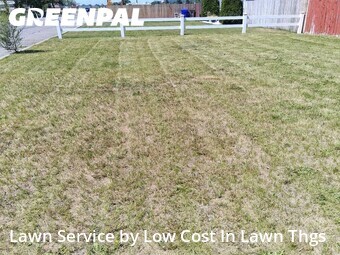 Lawn Cutting nearby Spokane Valley, WA, 