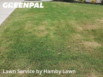 Grass Cut nearby Greenville, SC, 