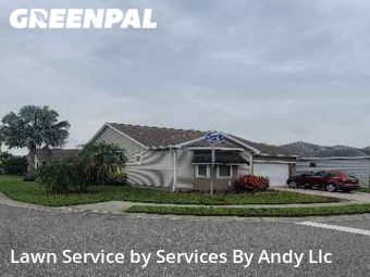 Yard Cutting nearby Oldsmar, FL, 