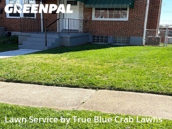 Grass Cutting nearby Dundalk, MD, 
