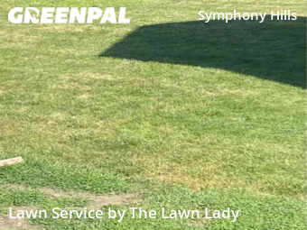 Grass Cutting nearby Olathe, KS, 