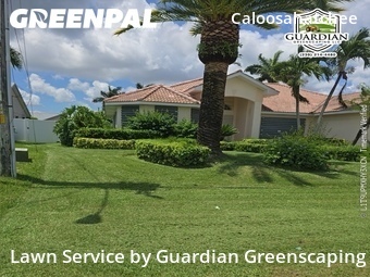 Yard Mowing nearby Cape Coral, FL, 