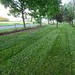 lawn-care-services-in-Muncie-IN