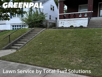 Lawn Cut nearby Highland Heights, OH, 