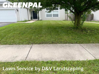 Turf Services in Crest Hill, 60403, Yard Upkeep by D&V Landscaping , work completed in Nov , 2025