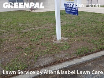 Lawn Cut nearby Holiday, FL, 