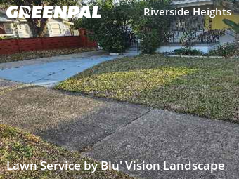Yard Mowingin Tampa,33602,Grass Cutting by Blu' Vision Landscape, work completed in Feb , 2026