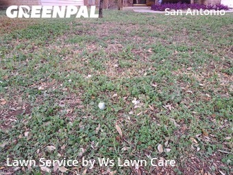 Grass Cutin San Antonio,78247,Lawn Mowing by Ws Lawn Care, work completed in Oct , 2025