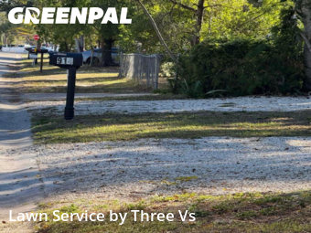 Lawn Maintenancein Tampa,33613,Grass Cutting by Three Vs , work completed in Dec , 2025
