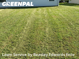 Grass Cutin Clayton,27520,Lawn Maintenance by Beasley Edwards Ente, work completed in Nov , 2025