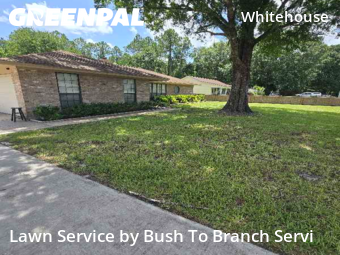 Lawn Cut nearby Jacksonville, FL, 