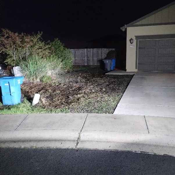 the-yard-cutting-businesses-in-Yuba City-CA