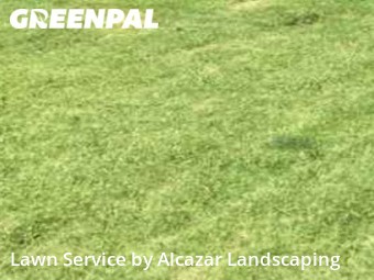 Yard Mowing nearby Irving, TX, 