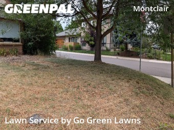 Yard Cutting nearby Denver, CO, 