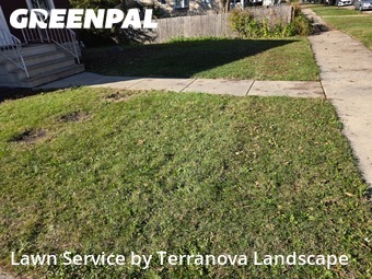 Yard Cuttingin Aurora,60506,Grass Cut by Terranova Landscape, work completed in Nov , 2025