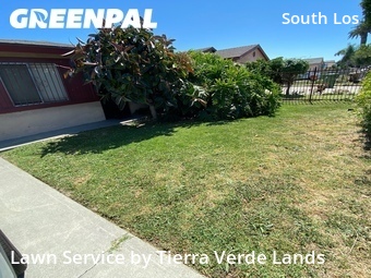 Lawn Care Service nearby Los Angeles, CA, 