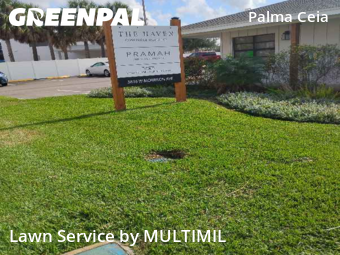 Landscaping Renovation In Tampa,33629,Landscaping Cleanup by MULTIMIL , work completed in Dec , 2025