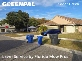 Lawn Cut nearby Tampa, FL, 