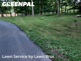 Grass Cut nearby Prospect, KY, 