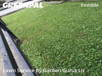 Lawn mowed in Covington, 41011