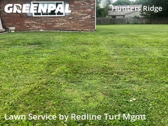 Landscaping Cleanup In Columbus,43230,Landscaping Renovation by Redline Turf Mgmt, work completed in Jun , 2026