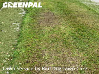 Grass Cutting nearby Slidell, LA, 