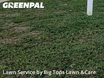 Grass Cutin Altamonte Springs,32701,Lawn Service by Big Tops Lawn &Care, work completed in Jul , 2026