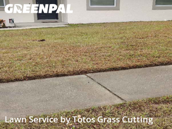 Landscaping Cleanup In Orlando,32808,Landscaping Installation by Totos Grass Cutting, work completed in Feb , 2026
