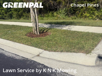 Yard Cutting nearby Wesley Chapel, FL, 