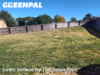Lawn Mowing Service nearby Thornton, CO, 
