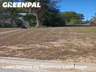 Lawn mowed in Eustis, 32726