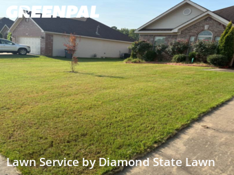 Lawn Care Service nearby Bryant, AR, 