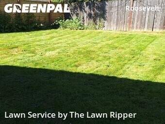 Lawn mowed in Seattle, 98115