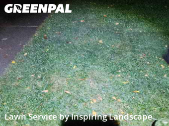 Lawn Maintenancein Parker,80134,Lawn Care Service by Inspiring Landscape, work completed in Nov , 2025