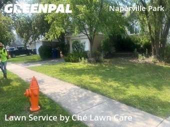 Yard Cutting nearby Naperville, IL, 