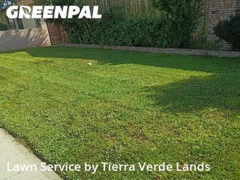 Lawn Care Service nearby Lynwood, CA, 