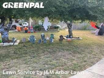 Lawn Cutting nearby Hutto, TX, 