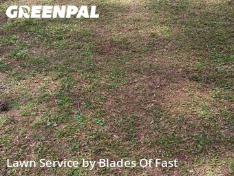 Lawn Mowing nearby East Point, GA, 