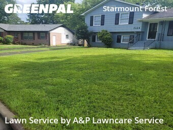 Grass Cutin Charlotte,28210,Grass Cutting by A&P Lawncare Service, work completed in Jun , 2026